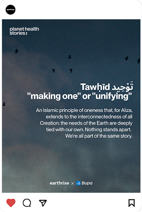 Tawhid principle